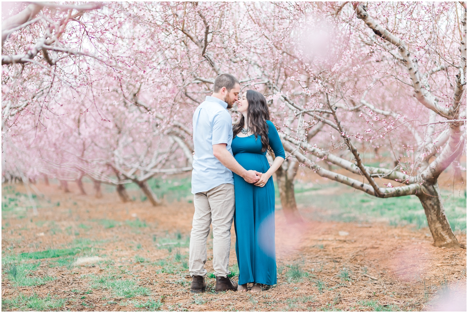 west virginia maternity photography peach blossoms spring photos maryland photographer