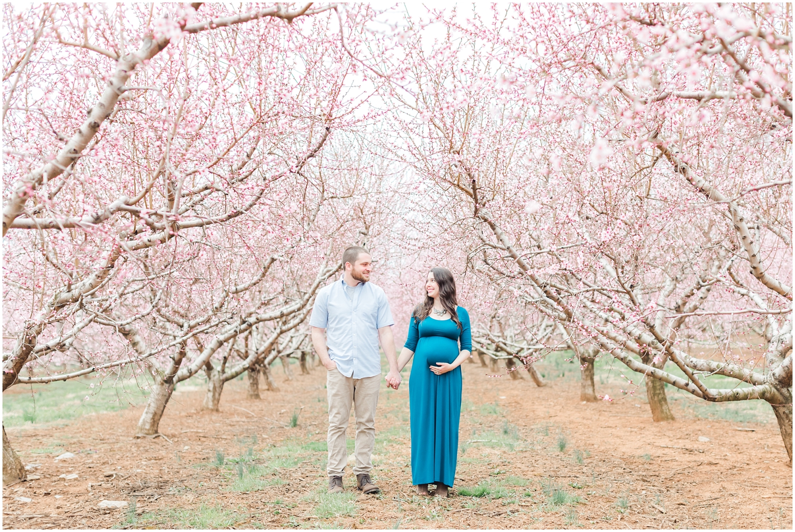 west virginia maternity photography peach blossoms spring photos maryland photographer