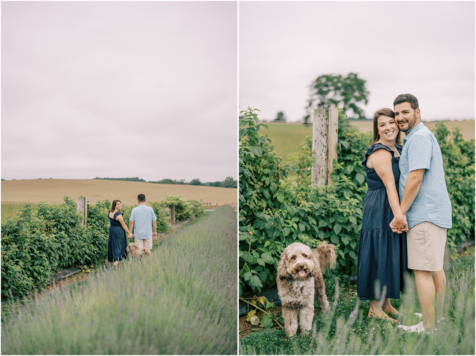 Pennsylvania Lavender Engagement Session